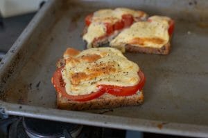 Air Fryer Cheese and Tomato Melt with Extra Cheese Recipe