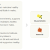 Energy Libido Vitamin ingredients